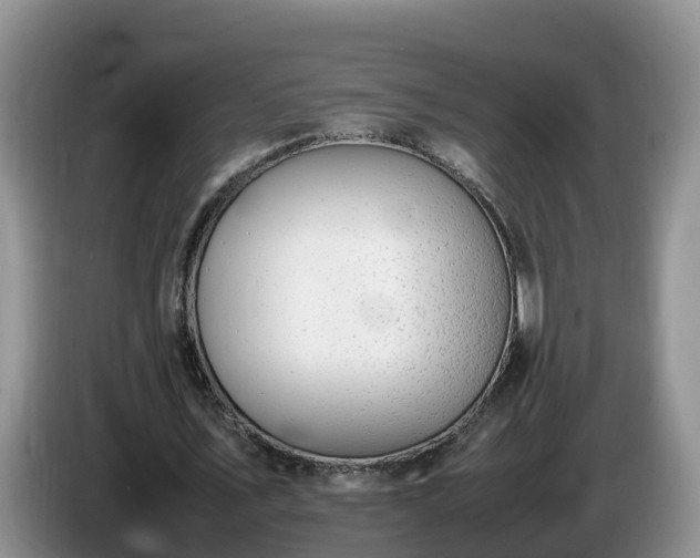 X0000086240579200704051221