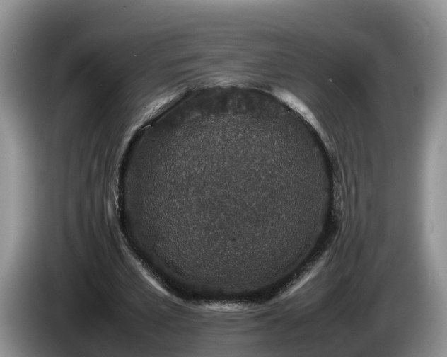 X0000086240581200704051221