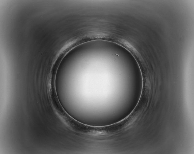 X0000086240582200704051221