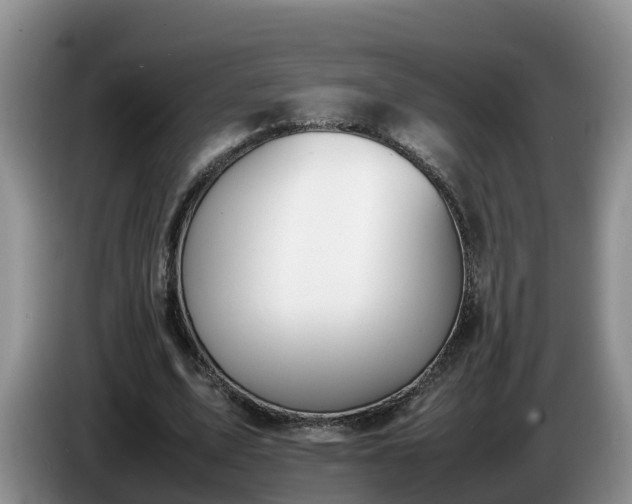 X0000086240583200704051221