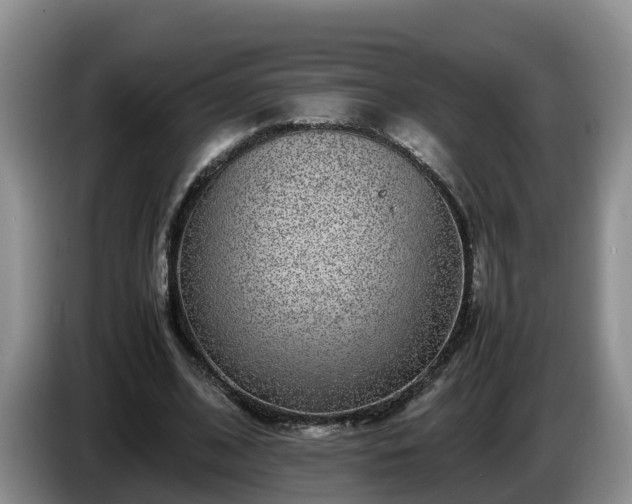 X0000086240584200704051221
