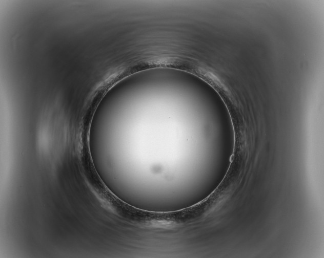 X0000086240586200704051221