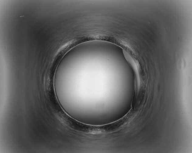 X0000086240587200704051221