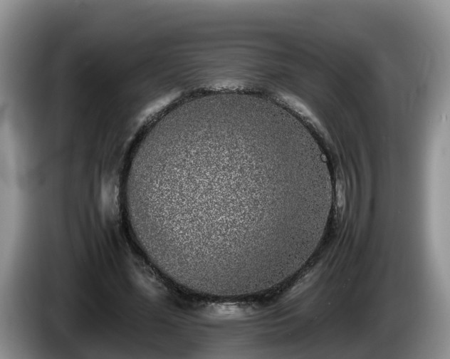 X0000086240588200704051221