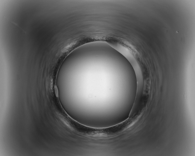 X0000086240589200704051220
