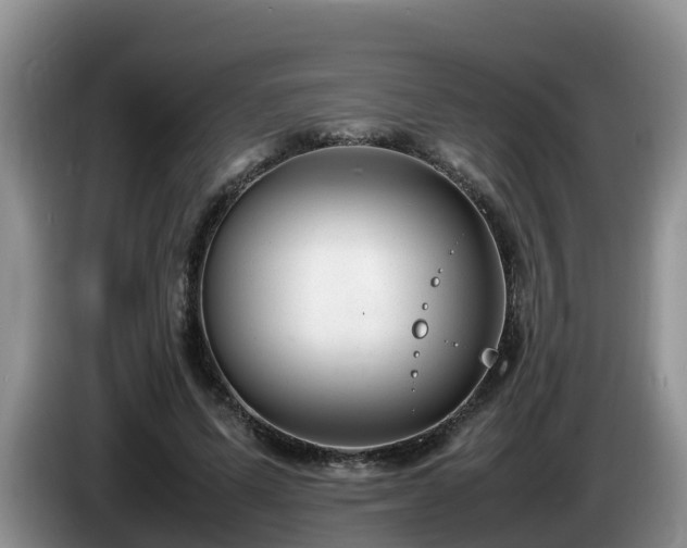 X0000086240591200704051220