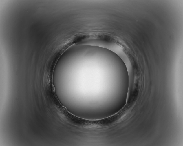 X0000086240593200704051220
