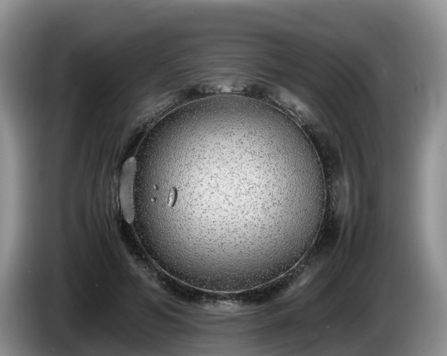 X0000086240594200704051220