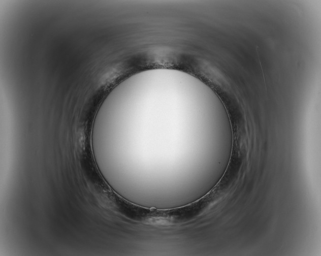 X0000086240595200704051220