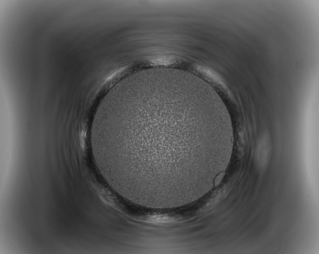 X0000086240596200704051220