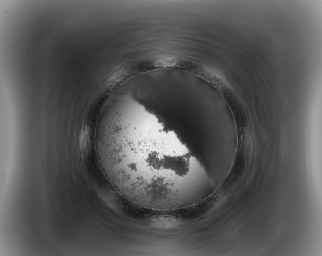 X0000086240598200704051220