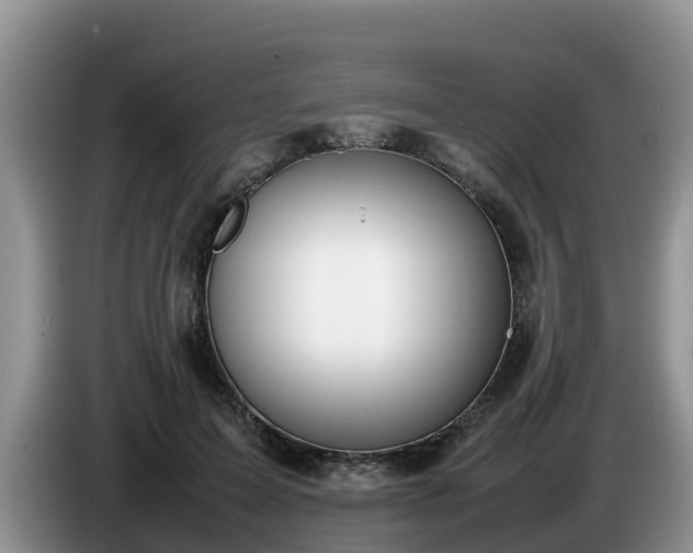 X0000086240599200704051220