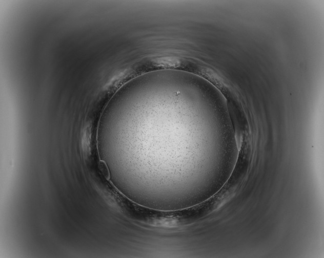 X0000086240600200704051220