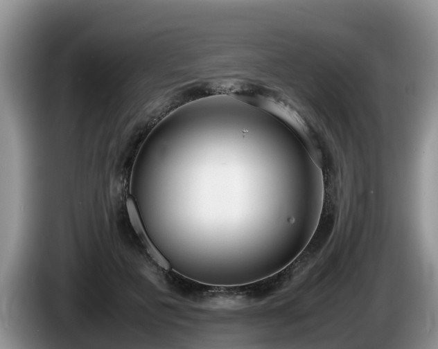 X0000086240601200704051220