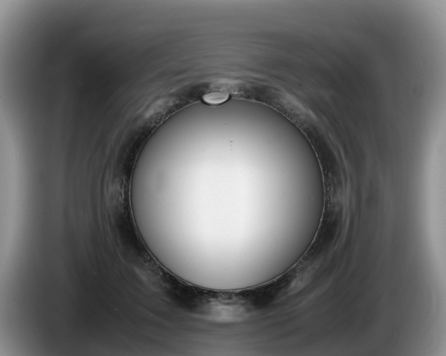 X0000086240603200704051220