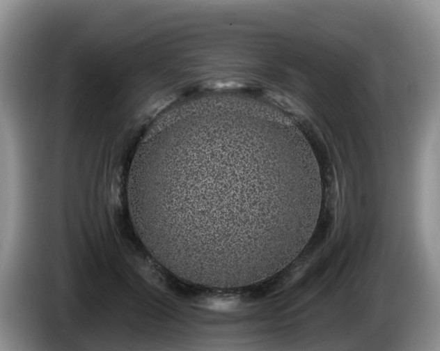 X0000086240604200704051220