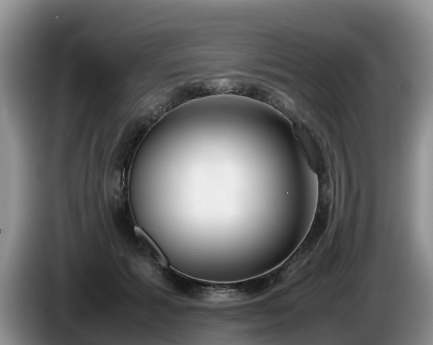 X0000086240605200704051220