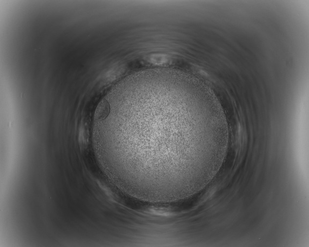 X0000086240606200704051220