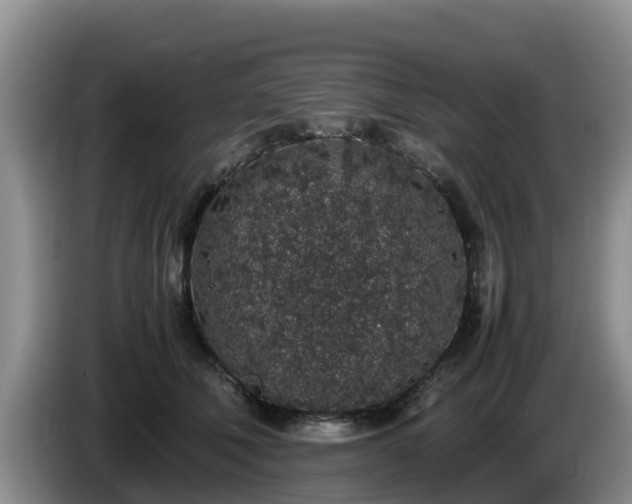 X0000086240610200704051220