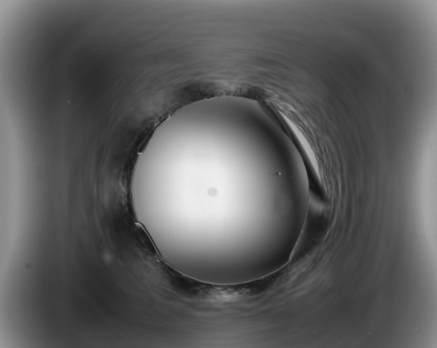 X0000086240613200704051220