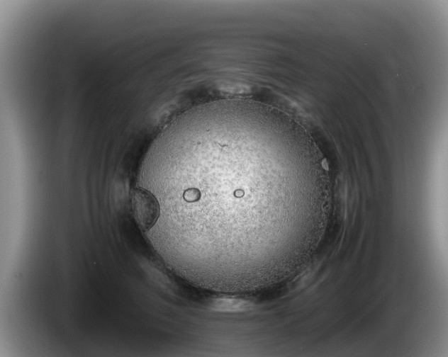 X0000086240614200704051220