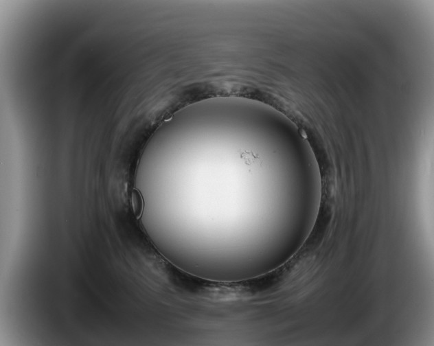 X0000086240615200704051220