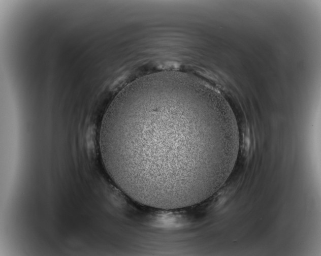 X0000086240616200704051220