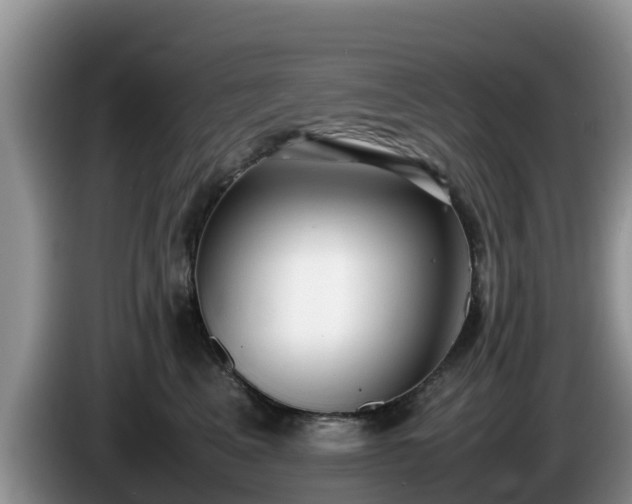 X0000086240617200704051220