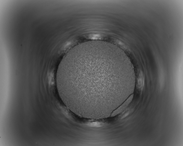 X0000086240620200704051220