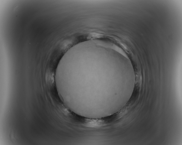X0000086240621200704051220