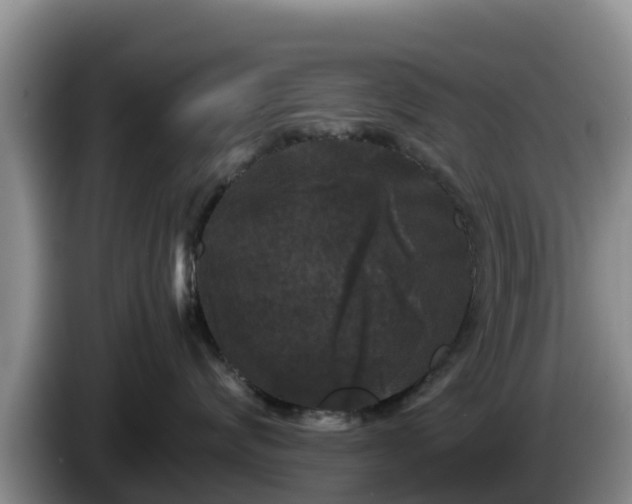 X0000086240624200704051220