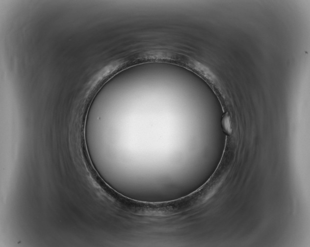 X0000086240625200704051219