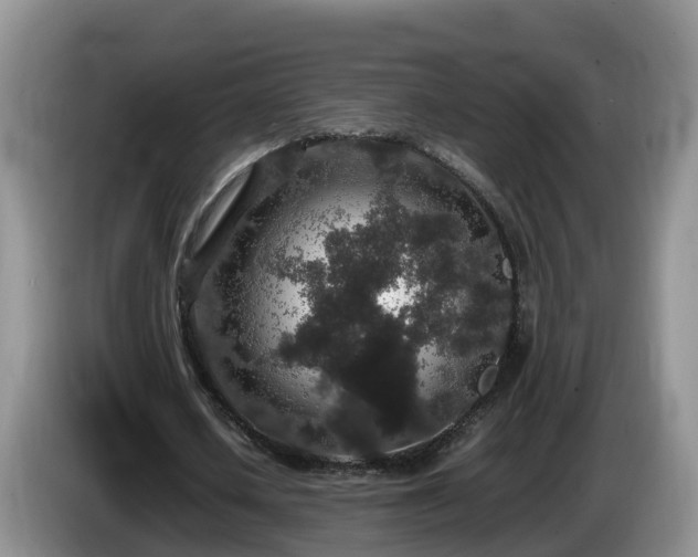 X0000086240626200704051219