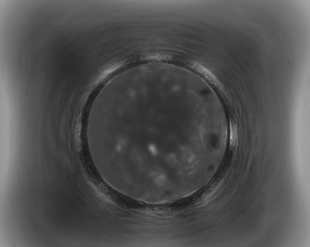 X0000086240627200704051219