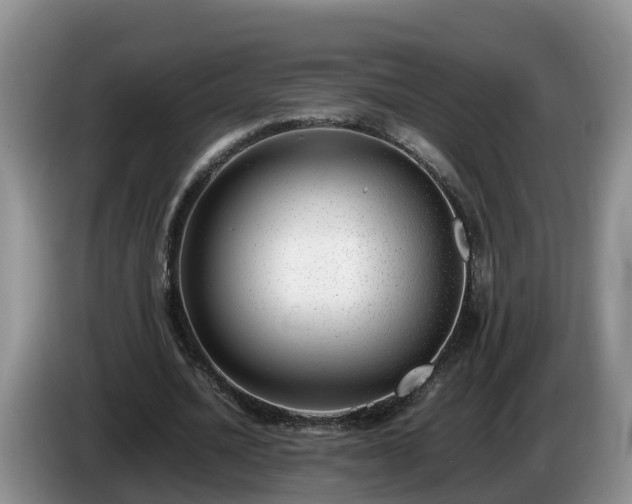 X0000086240628200704051219