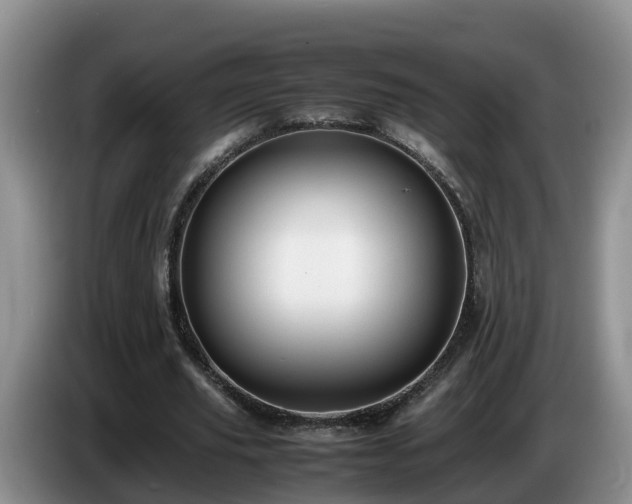 X0000086240629200704051219