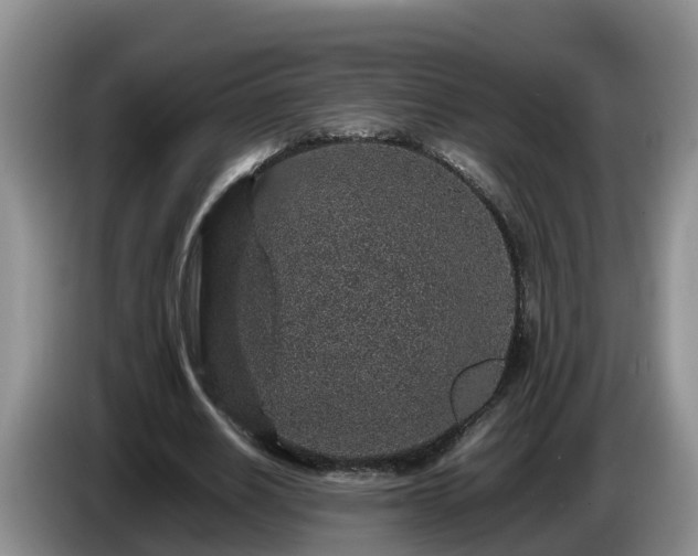 X0000086240630200704051219