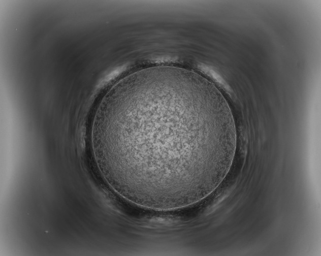 X0000086240631200704051219