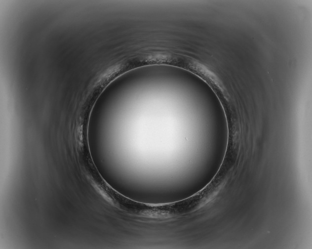 X0000086240633200704051219