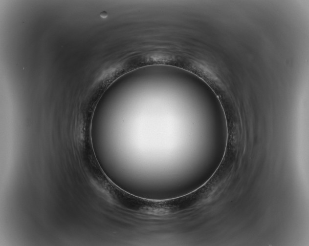 X0000086240639200704051219
