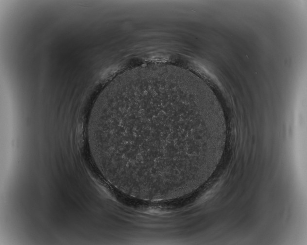 X0000086240641200704051219