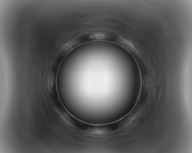 X0000086240645200704051220