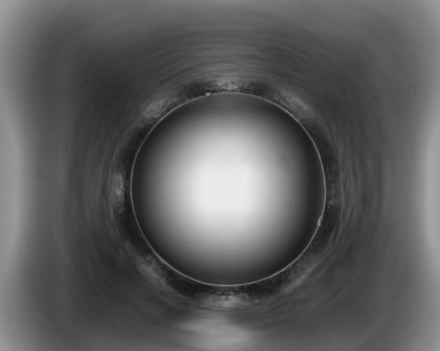 X0000086240646200704051220