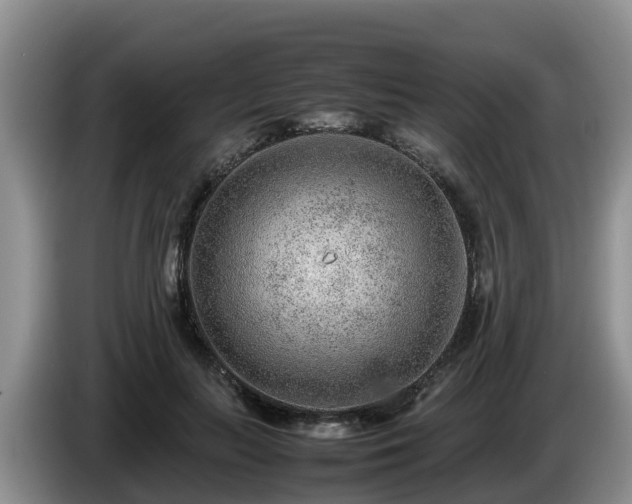 X0000086240647200704051220