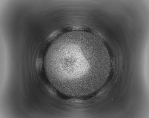 X0000086240648200704051220