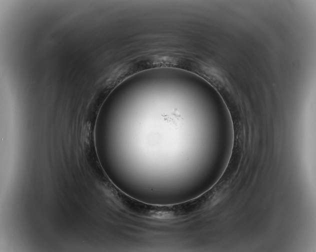 X0000086240649200704051220