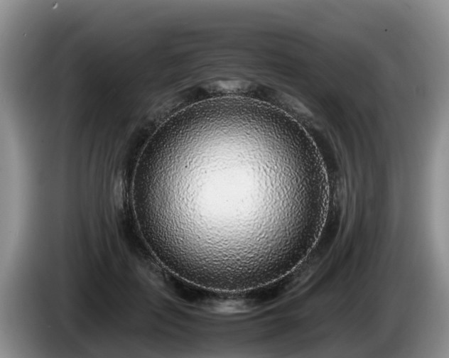X0000086240651200704051220