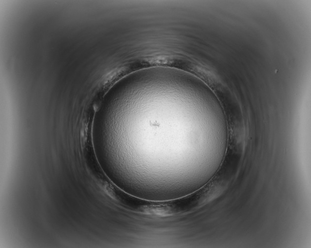 X0000086240652200704051220