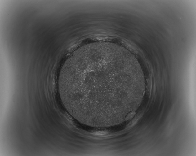 X0000086240653200704051220