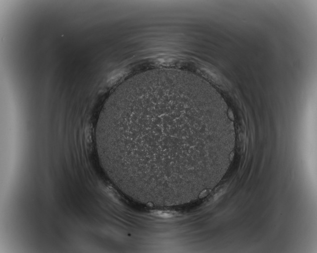 X0000086240654200704051220